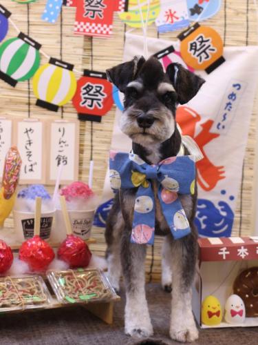 20240712ココくん